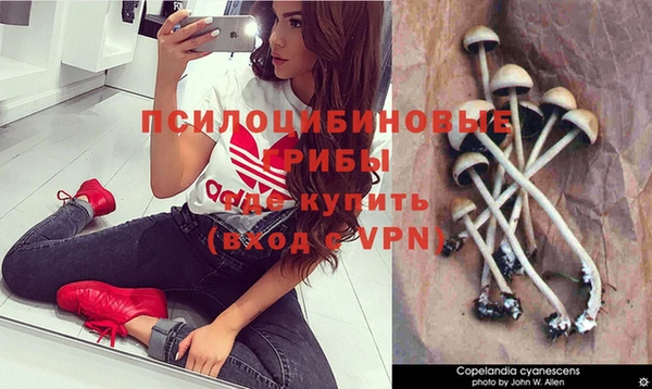 гидра Майский