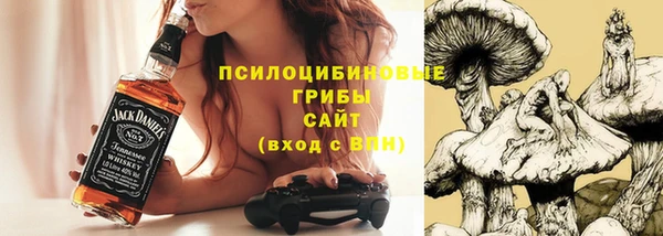 дурь Магас