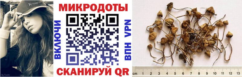 Купить закладки  Рославль  Галлюциногенные грибы MAGIC MUSHROOMS 